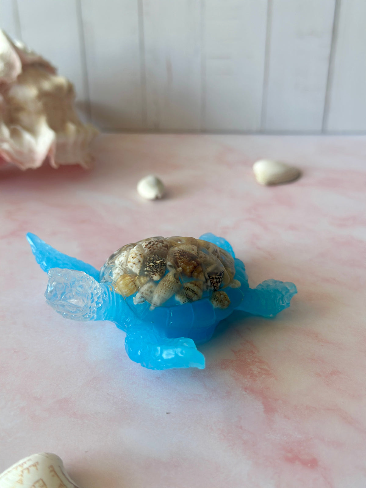 Tortue