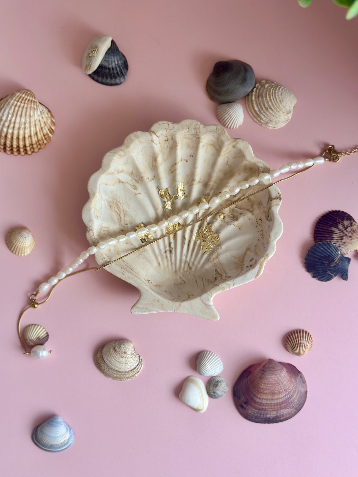 Vide poche Coquillage