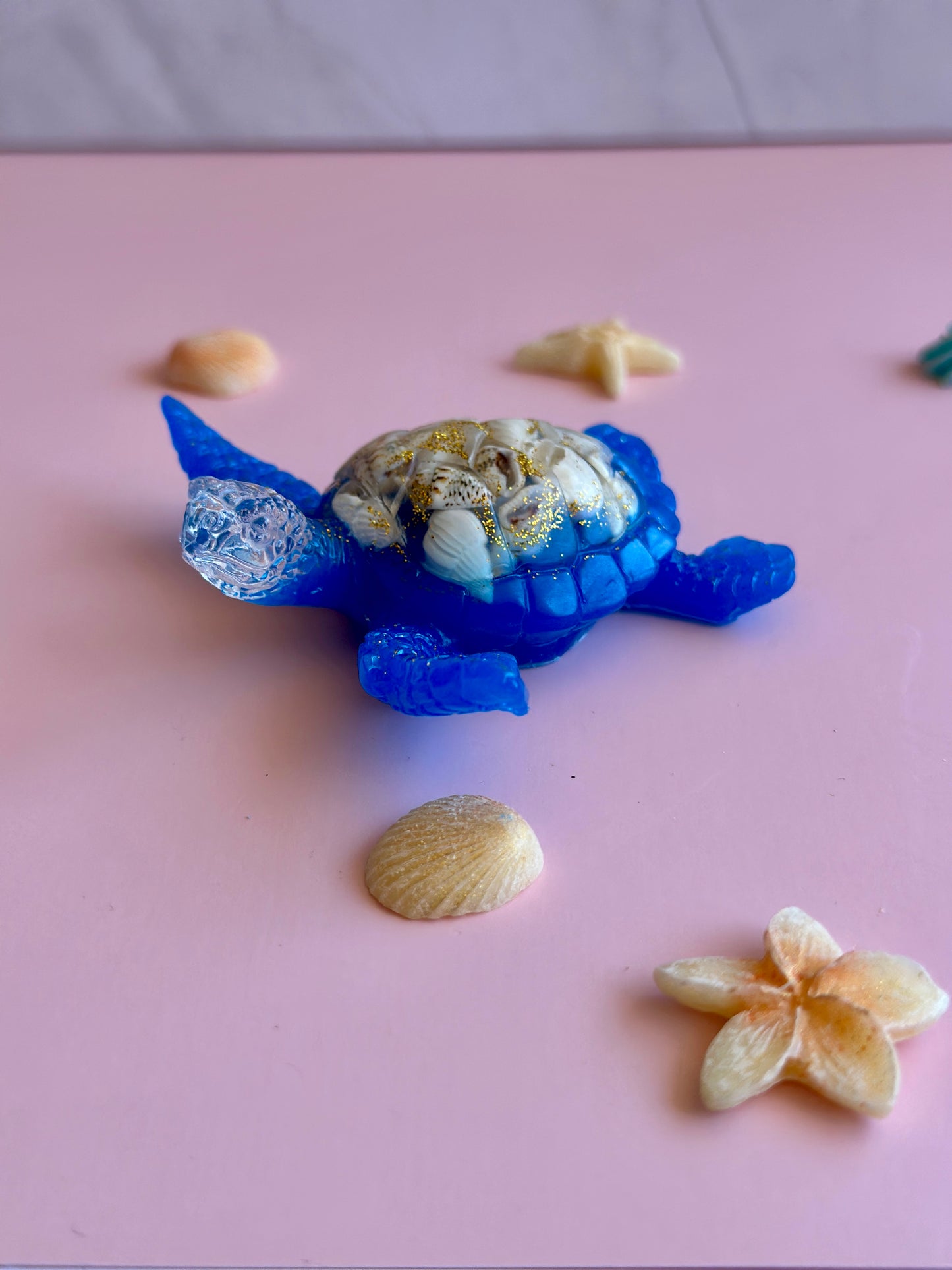 Tortue