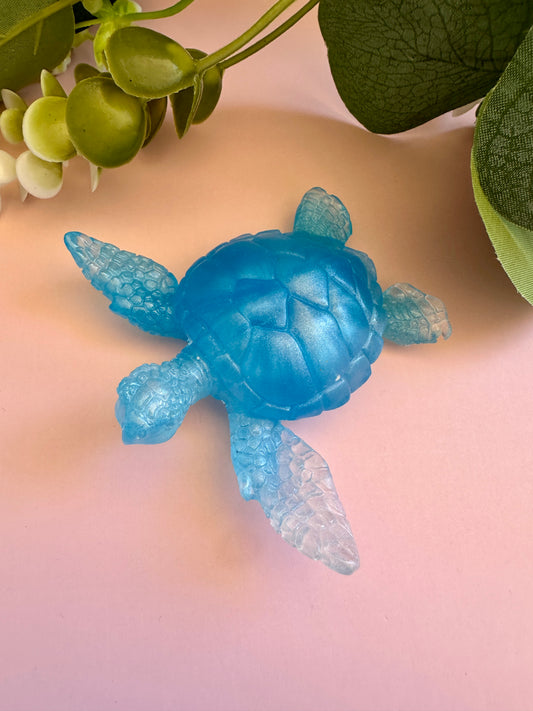 Tortue