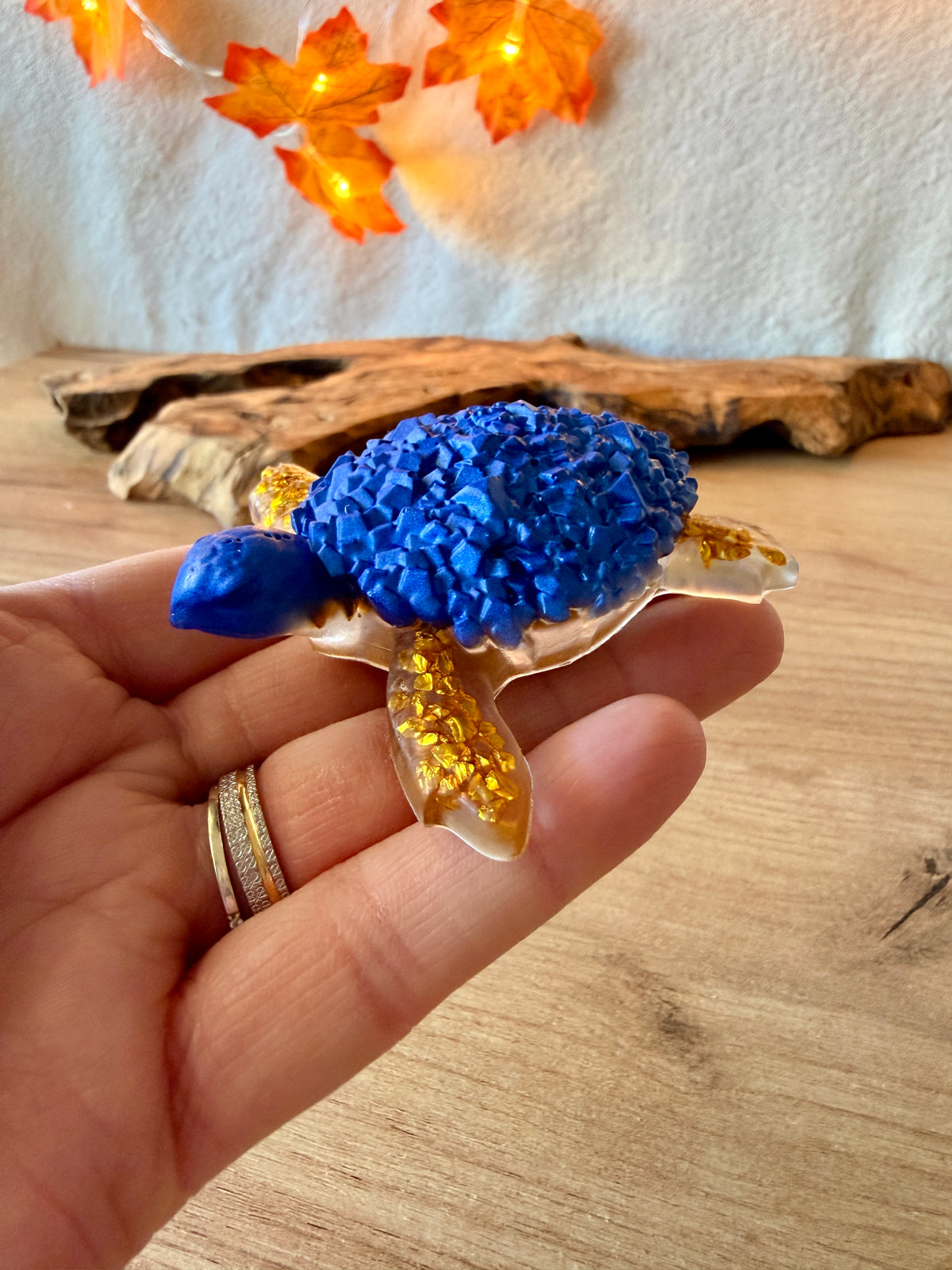 Tortue