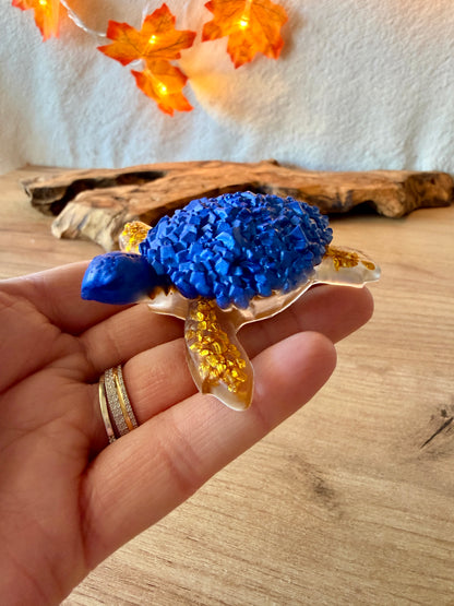 Tortue