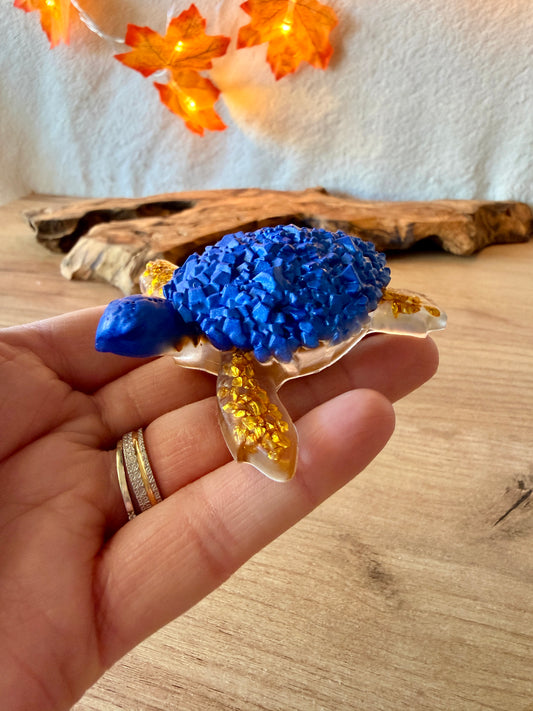 Tortue