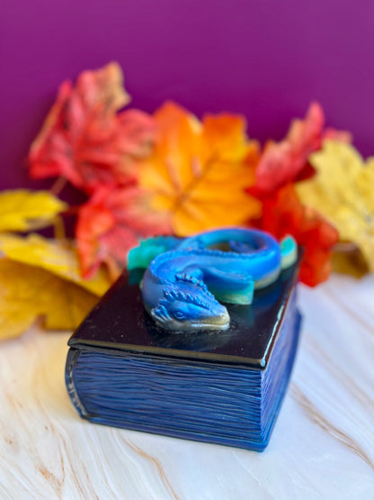 Boîte livre dragon en résine
