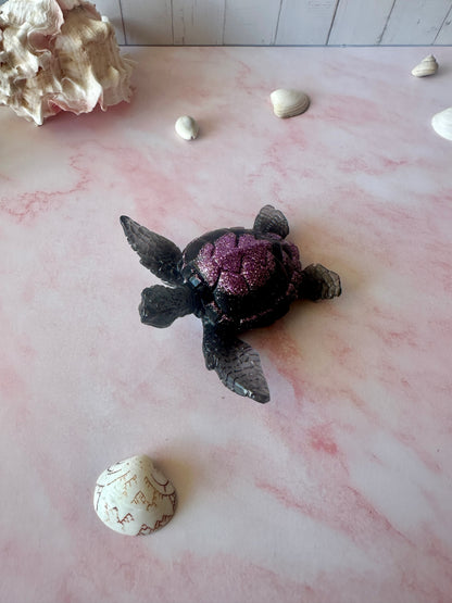 Tortue