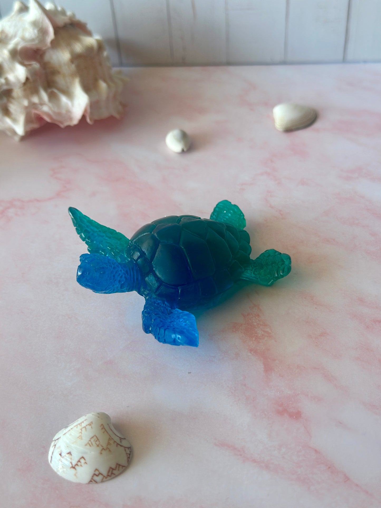 Tortue