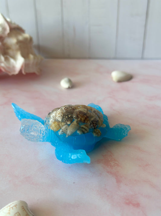 Tortue