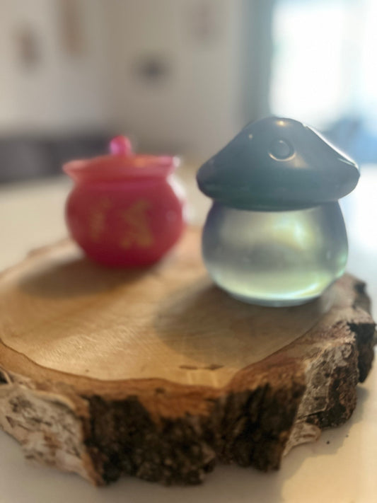 Boite champignon